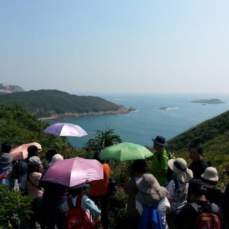 檢示大圖