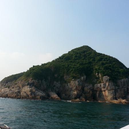 檢示大圖
