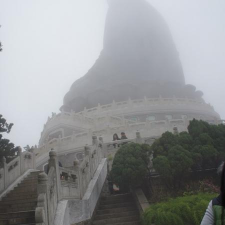 检示大图