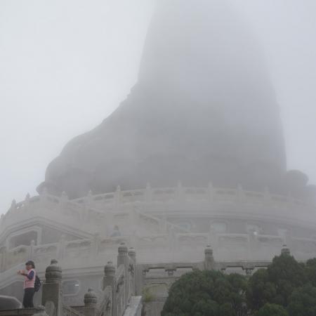 检示大图