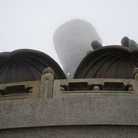 检示大图
